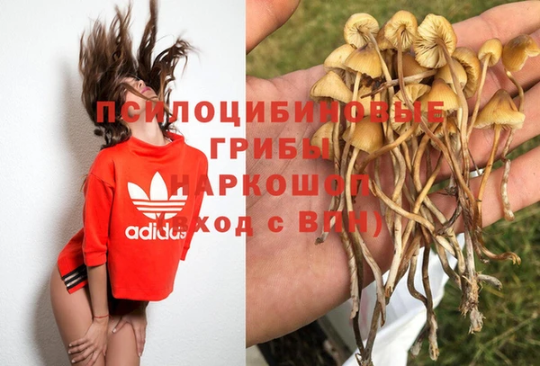 МДПВ Армянск