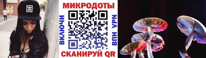 где можно купить наркотик MEGA зеркало Псилоцибиновые грибы Psilocybe Коломна